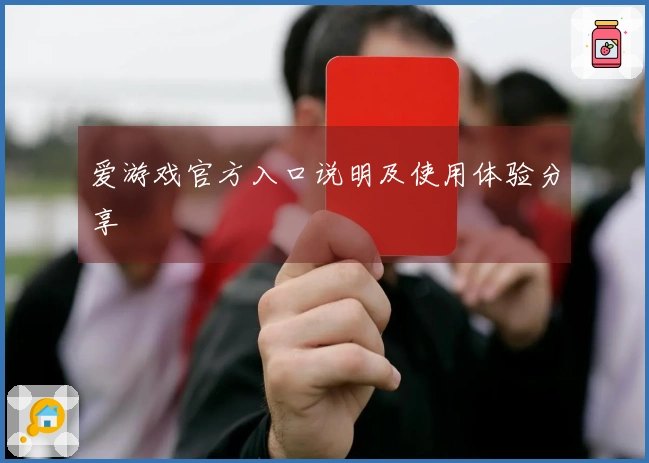 爱游戏官方入口说明及使用体验分享