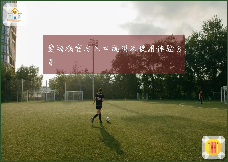 爱游戏官方入口说明及使用体验分享